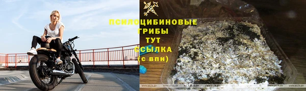 амф Абинск